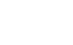 Rine-Insurance-Group-Updated-Logo-White-800